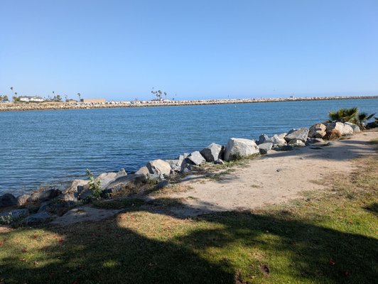 Alamitos Park by null