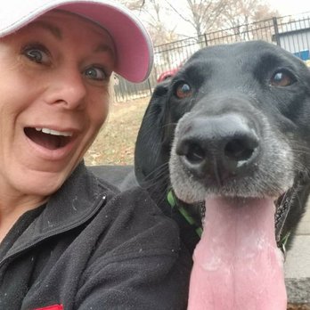 Pawsitively Purrfect Pampering - Dog Walkers Near Me Pawsitively Purrfect Pampering - Dog Walkers Near Me