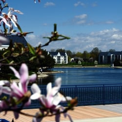 Waterchase Apartments by Trilogy Residential Management