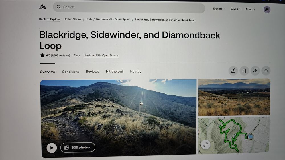 Blackridge Trail Logo