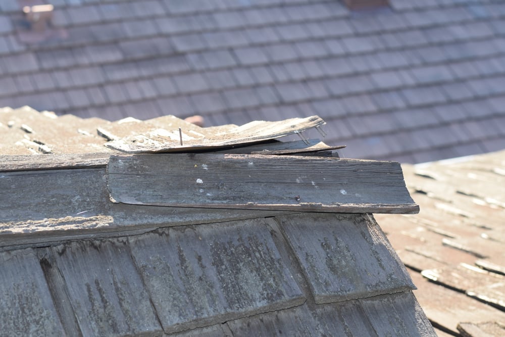 Slide of Big Tree Roofing and Inspections