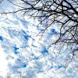 Trexler Memorial Park - Patly sunny