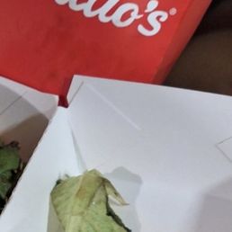 Old Lettuce