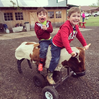 Rodeo Zone Mini Ranch - My boys have never had so much fun! Thanks Rodeo Zone! - Party & Event Planning Near Me - Fort Worth, Texas Rodeo Zone Mini Ranch - My boys have never had so much fun! Thanks Rodeo Zone! - Party & Event Planning Near Me - Fort Worth, Texas