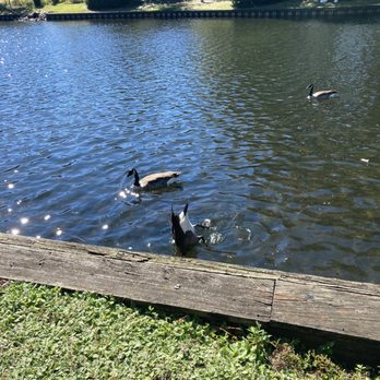 Quarterman Park - Parks Near Me - North Charleston, South Carolina Quarterman Park - Parks Near Me - North Charleston, South Carolina