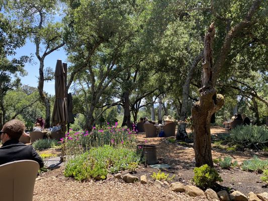 Bartholomew Estate Winery by null