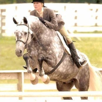 True Blue Farm - Horseback Riding Near Me - Sarasota, Florida True Blue Farm - Horseback Riding Near Me - Sarasota, Florida