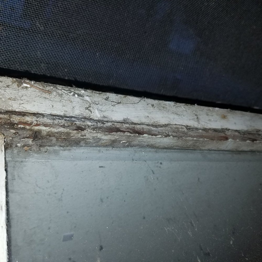 SJC Management Group - My daughters bedroom window that never even opened. - Property Management Near Me - Sumner, Washington SJC Management Group - My daughters bedroom window that never even opened. - Property Management Near Me - Sumner, Washington