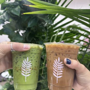 Selva Coffee House - Coffee Roasteries Near Me - San Diego, California