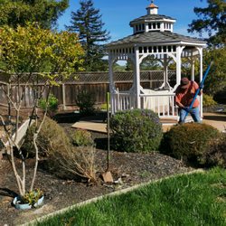 Delta Landscaping