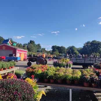 Lupardi's Nursery - Nurseries & Gardening Near Me - Closter, New Jersey