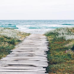 Seacoast Properties