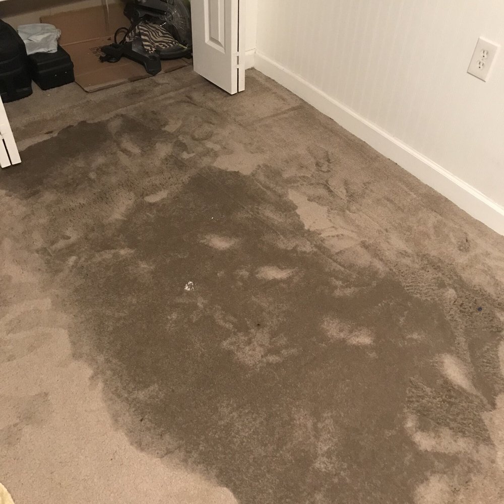 Will's Carpet Care - Busted water heater flooded this room - Carpet Cleaning Near Me