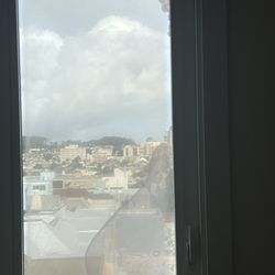 The Window Specialist - Fogged window, north facing. WS repudiates "lifetime" warranty.