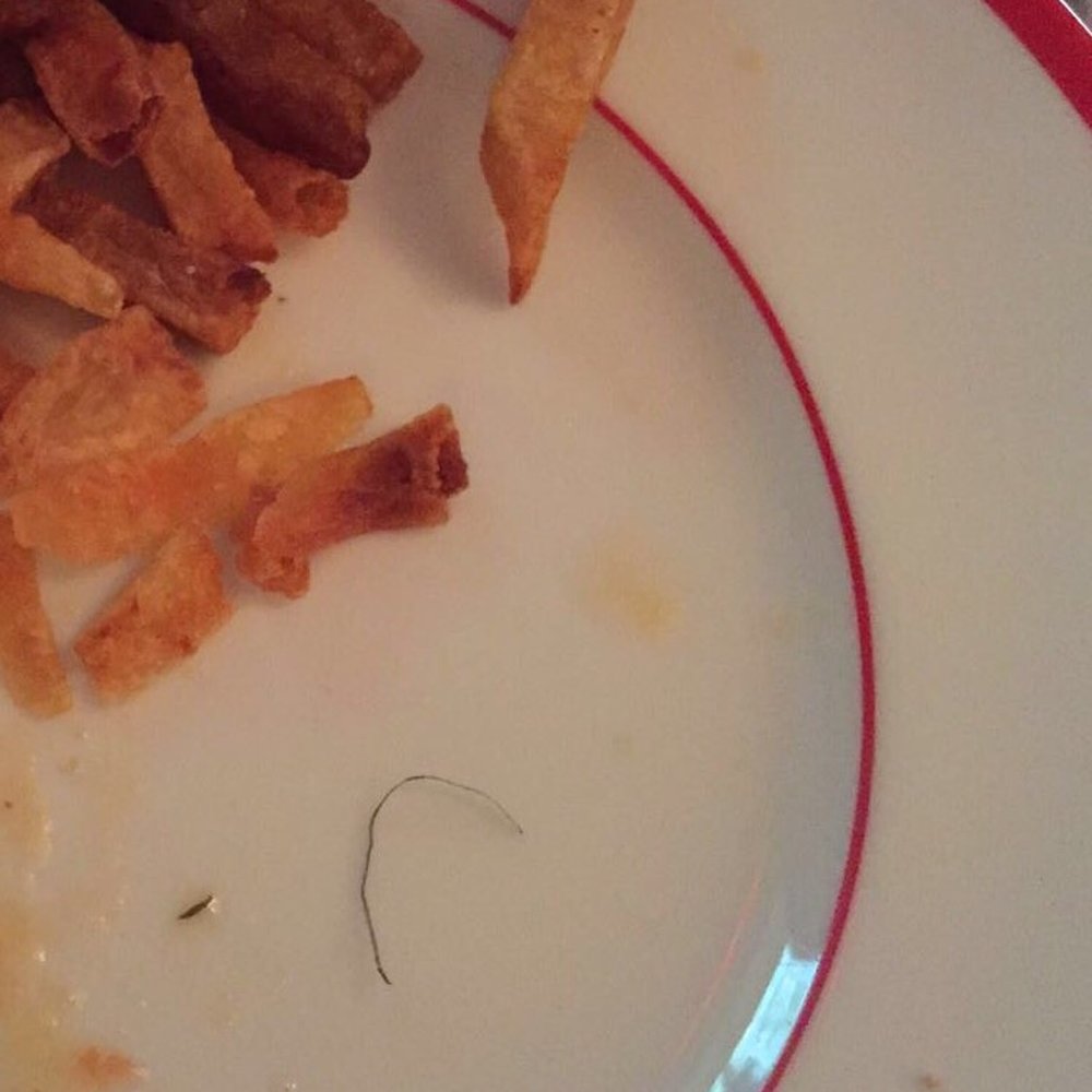 Bistro Maison - Piece of metal wire in a mussel. No apology. Just an exasperated server. - French Near Me - McMinnville, Oregon Bistro Maison - Piece of metal wire in a mussel. No apology. Just an exasperated server. - French Near Me - McMinnville, Oregon