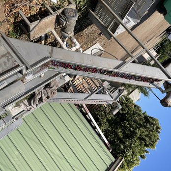 Alpine Blue Farms - Cherry cleaning machine for industrial use - Pick Your Own Farms Near Me - Stockton, California Alpine Blue Farms - Cherry cleaning machine for industrial use - Pick Your Own Farms Near Me - Stockton, California