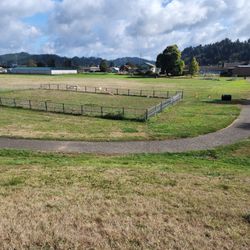 Champion Dog Park