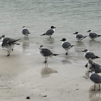 Oleta River State Park - Parks Near Me - North Miami Beach, Florida