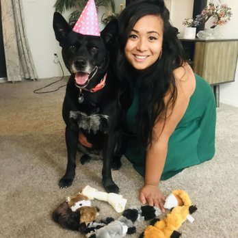 Downey Animal Care Center - Ninja's 9th Birthday where she received gifts from friends. - Pet Adoption Near Me - Downey, California