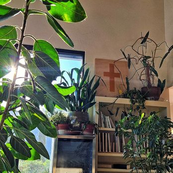 Austin’s Coffee Crafters - Coffee & Tea Near Me - Ripon, California