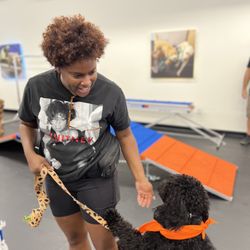 Zoom Room Dog Training Giftly Beautiful Gift Card Alternative