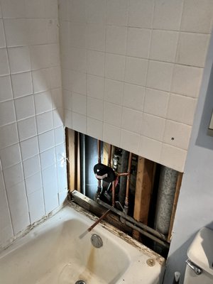 Dynasty Home services Logo