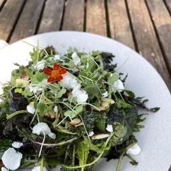 Coachwhip Cafe - Kale and lentil salad