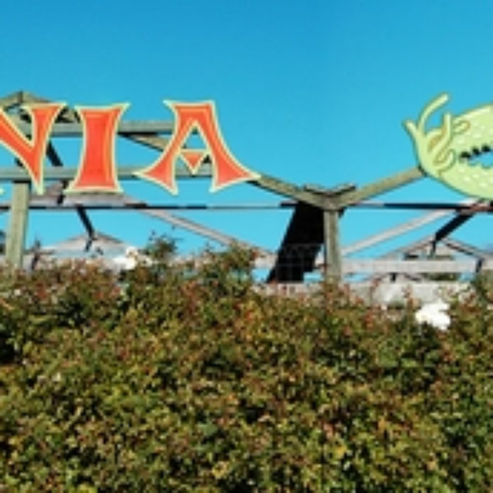 California Carnivores - Nurseries & Gardening Near Me - Sebastopol, California California Carnivores - Nurseries & Gardening Near Me - Sebastopol, California
