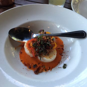Meddlesome Moth - Scallops - Bars Near Me - Dallas, Texas Meddlesome Moth - Scallops - Bars Near Me - Dallas, Texas