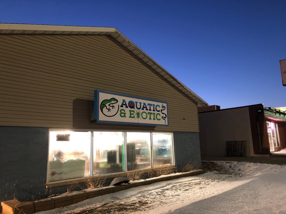 Aquatics & Exotics