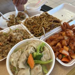 Dinner for 2 and Pork & Veg Wonton Soup