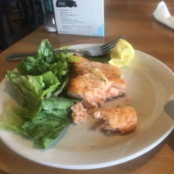 Pita Jungle - Mediterranean Near Me - Gilbert, Arizona