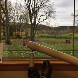 Ellis Dentistry - View from my massage chair