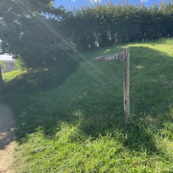 Hobbiton - Tours Near Me - Matamata, WKO Hobbiton - Tours Near Me - Matamata, WKO