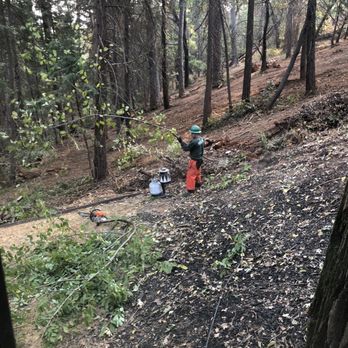 Defensible Space & Land Clearing Systems - Tree Services Near Me - Diamond Springs, California