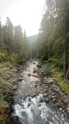 Ohanapecosh Campground by null