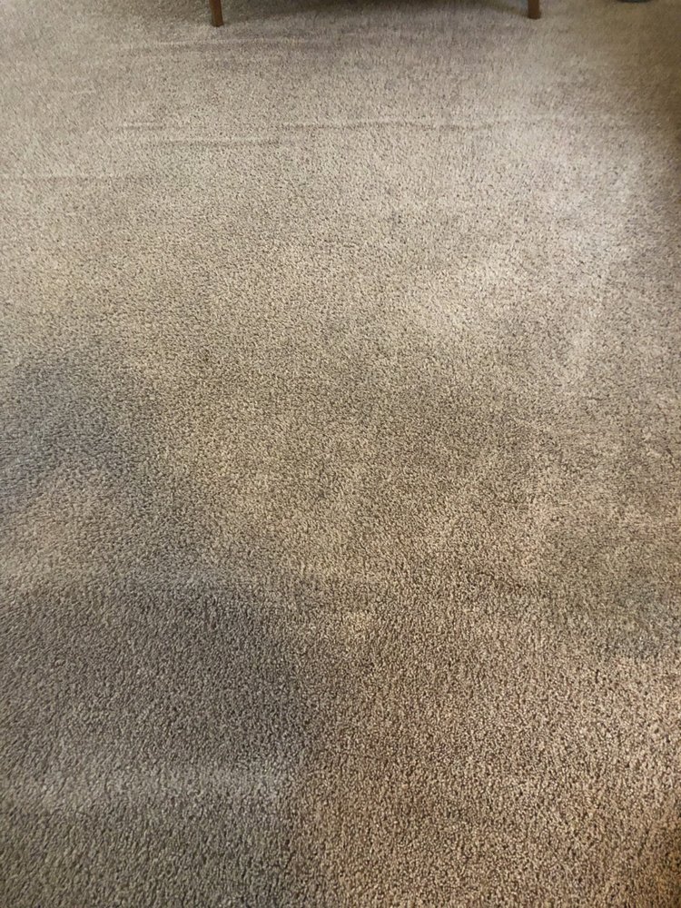 QUICK DRY CARPET CLEANING Updated August 2024 24467 White Rd, Watertown, New York Carpet