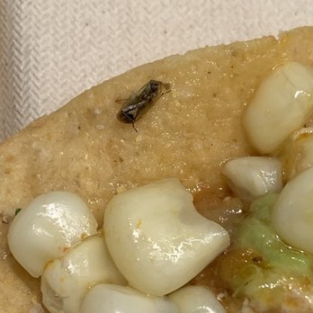Chipotle Mexican Grill - Mexican Near Me - New York, New York