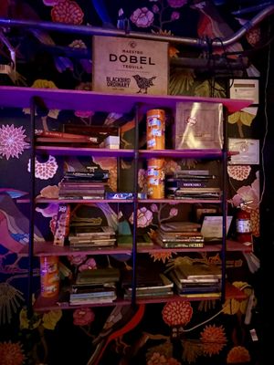 Blackbird Ordinary by null Blackbird Ordinary by null