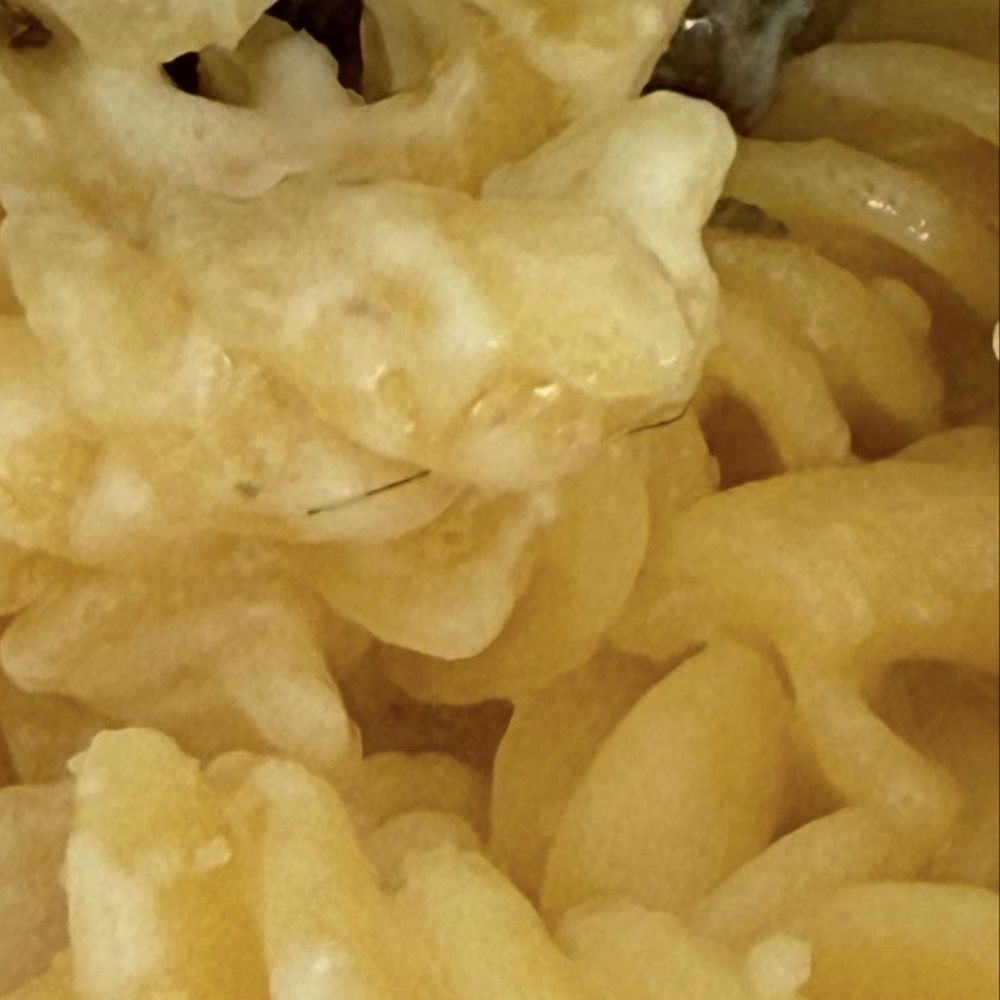Flower Child - HAIR IN MY FOOD - New American Near Me - Tempe, Arizona