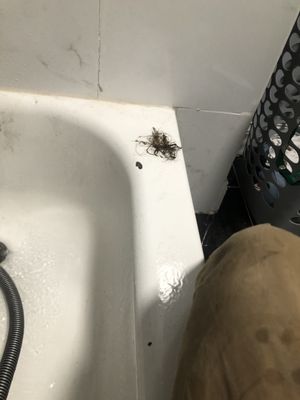 Rocky River Plumbing