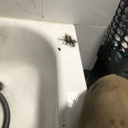 Rocky River Plumbing