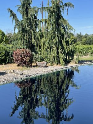 Saviah Cellars by null