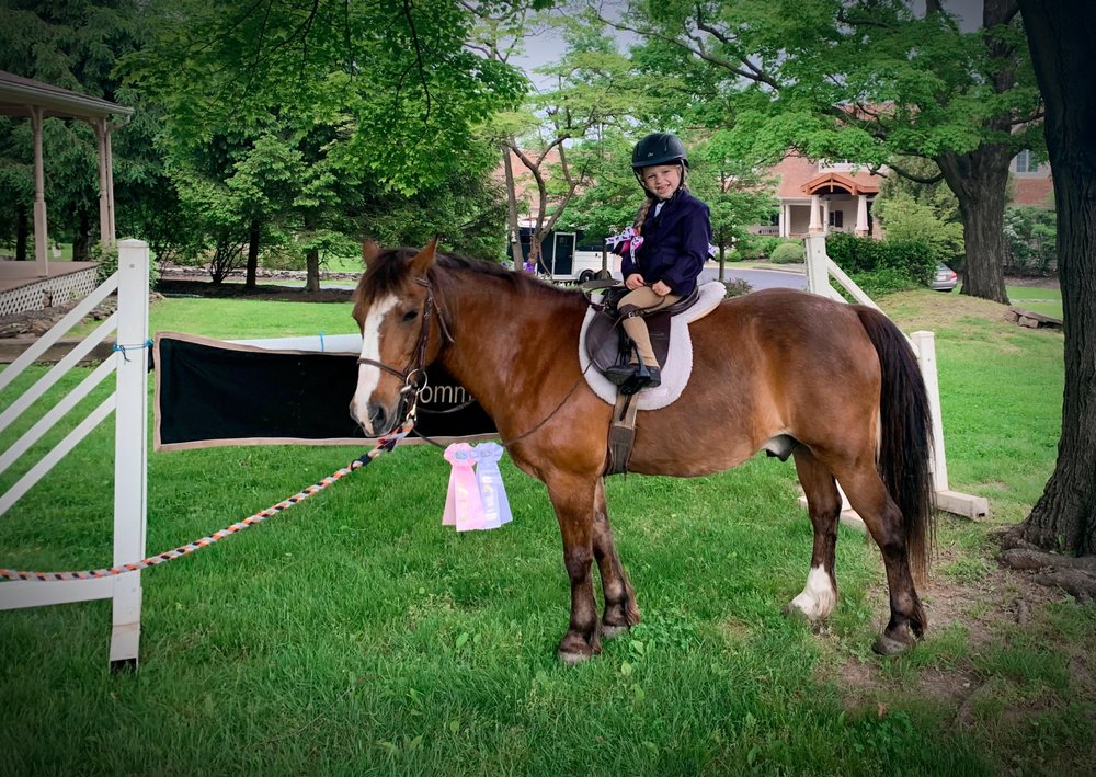 Cambria Stables - equestrian in Yardley, PA