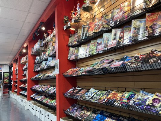 Collector's Paradise by null