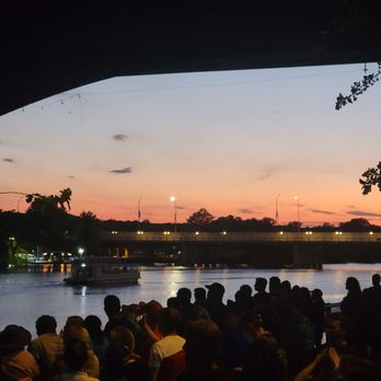 Bats Under the Congress Avenue Bridge - Landmarks & Historical Buildings Near Me - Austin, Texas
