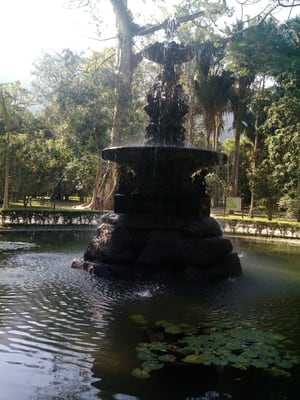 Botanical Garden of Rio de Janeiro by null