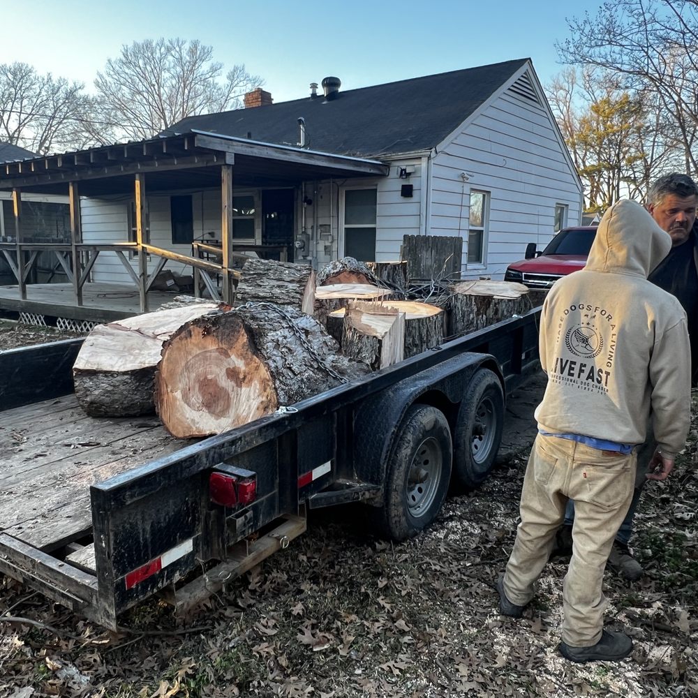 Sampley & Son Tree Experts - Tree Services Near Me
