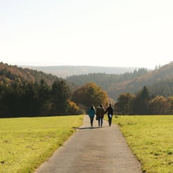 Burg Vischel