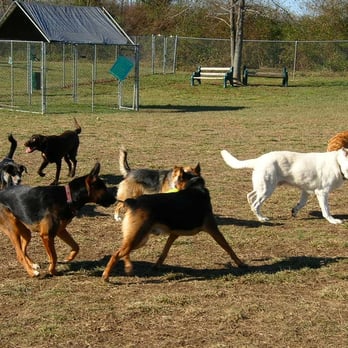 Hanover Dog Park - Pet Services Near Me - Ashland, Virginia Hanover Dog Park - Pet Services Near Me - Ashland, Virginia